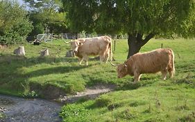 Highlands On Homestead